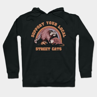 Support Your Local Street Cats // Raccoon Hoodie